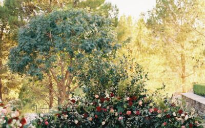 5 THINGS TO CONSIDER WHEN HOSTING A MIDWEEK WEDDING